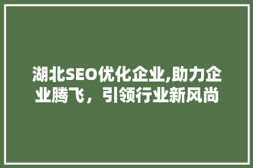 湖北SEO优化企业,助力企业腾飞，引领行业新风尚