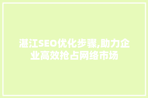 湛江SEO优化步骤,助力企业高效抢占网络市场