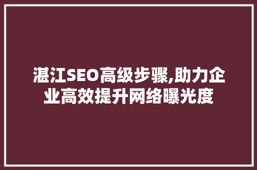 湛江SEO高级步骤,助力企业高效提升网络曝光度