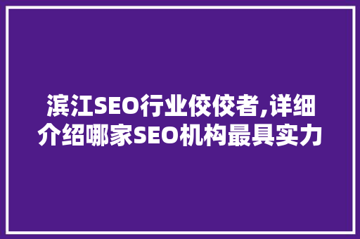 滨江SEO行业佼佼者,详细介绍哪家SEO机构最具实力