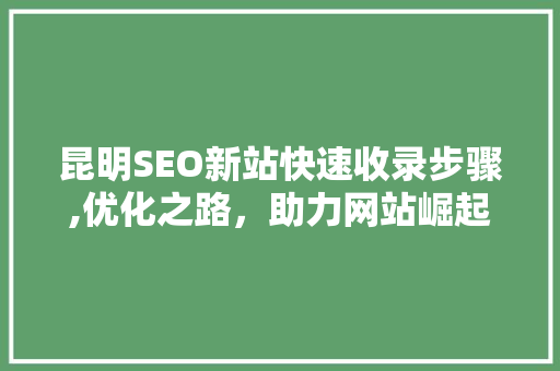 昆明SEO新站快速收录步骤,优化之路，助力网站崛起