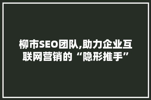 柳市SEO团队,助力企业互联网营销的“隐形推手”