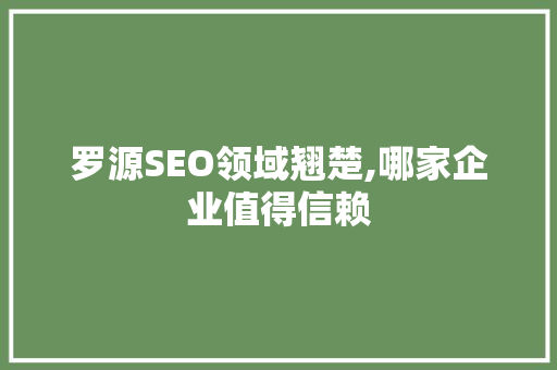 罗源SEO领域翘楚,哪家企业值得信赖