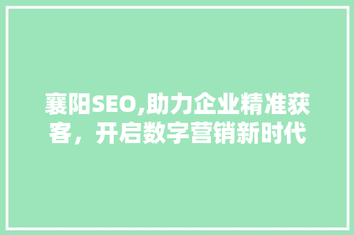襄阳SEO,助力企业精准获客，开启数字营销新时代