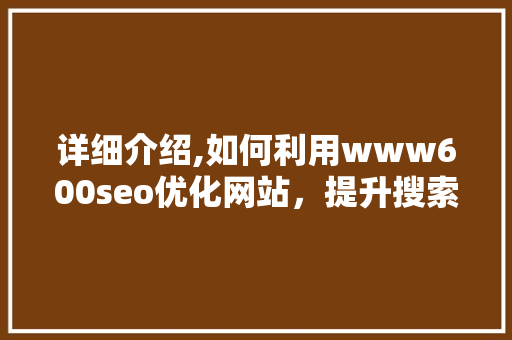 详细介绍,如何利用www600seo优化网站，提升搜索引擎排名