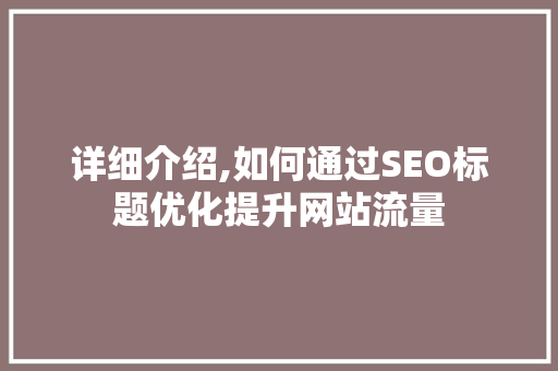 详细介绍,如何通过SEO标题优化提升网站流量