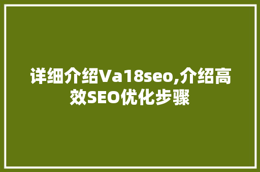 详细介绍Va18seo,介绍高效SEO优化步骤
