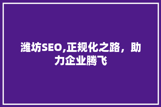 潍坊SEO,正规化之路，助力企业腾飞