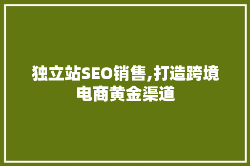 独立站SEO销售,打造跨境电商黄金渠道