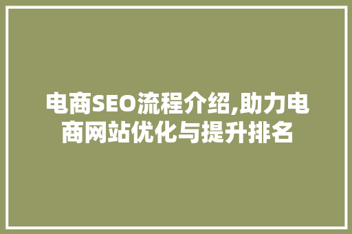 电商SEO流程介绍,助力电商网站优化与提升排名