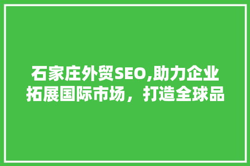石家庄外贸SEO,助力企业拓展国际市场，打造全球品牌