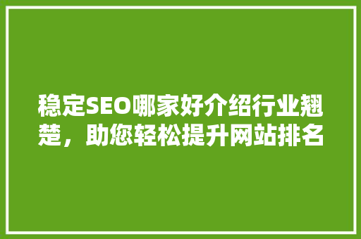 稳定SEO哪家好介绍行业翘楚，助您轻松提升网站排名