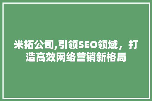 米拓公司,引领SEO领域，打造高效网络营销新格局