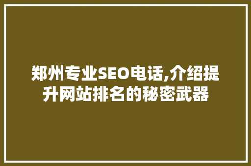 郑州专业SEO电话,介绍提升网站排名的秘密武器