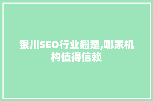 银川SEO行业翘楚,哪家机构值得信赖