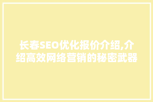 长春SEO优化报价介绍,介绍高效网络营销的秘密武器