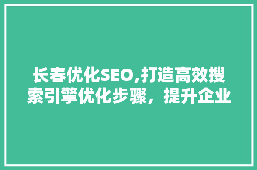 长春优化SEO,打造高效搜索引擎优化步骤，提升企业在线竞争力
