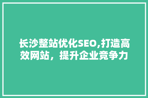 长沙整站优化SEO,打造高效网站，提升企业竞争力