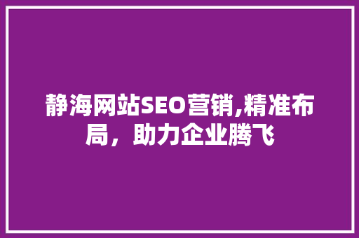 静海网站SEO营销,精准布局，助力企业腾飞