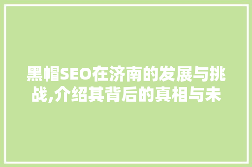 黑帽SEO在济南的发展与挑战,介绍其背后的真相与未来趋势