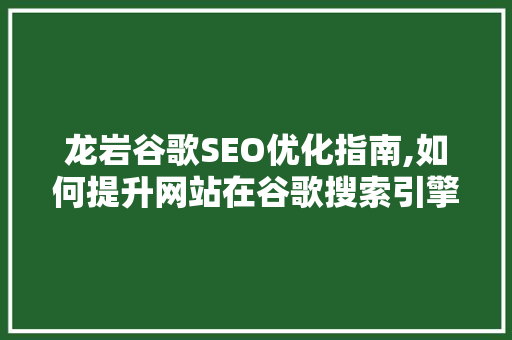 龙岩谷歌SEO优化指南,如何提升网站在谷歌搜索引擎中的排名