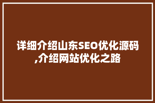 详细介绍山东SEO优化源码,介绍网站优化之路