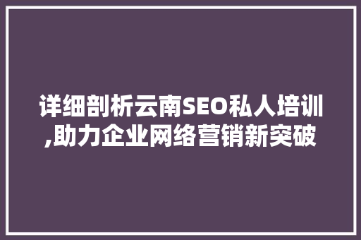 详细剖析云南SEO私人培训,助力企业网络营销新突破