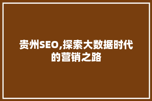贵州SEO,探索大数据时代的营销之路