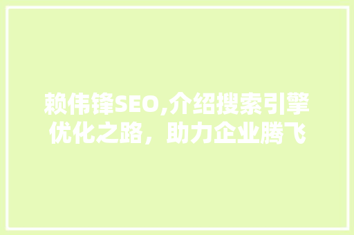 赖伟锋SEO,介绍搜索引擎优化之路，助力企业腾飞