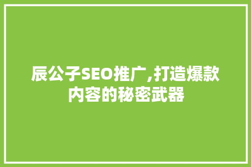 辰公子SEO推广,打造爆款内容的秘密武器  第1张