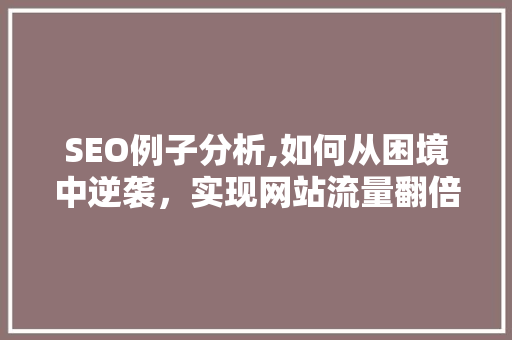 SEO例子分析,如何从困境中逆袭，实现网站流量翻倍增长