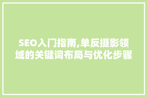 SEO入门指南,单反摄影领域的关键词布局与优化步骤