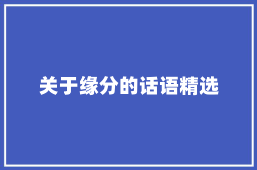 SEO公司营销步骤,介绍如何打造高效网络品牌