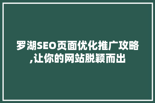 罗湖SEO页面优化推广攻略,让你的网站脱颖而出