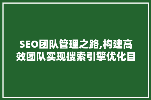 SEO团队管理之路,构建高效团队实现搜索引擎优化目标