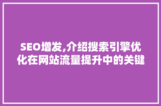 SEO增发,介绍搜索引擎优化在网站流量提升中的关键作用