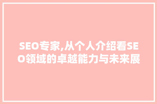 SEO专家,从个人介绍看SEO领域的卓越能力与未来展望