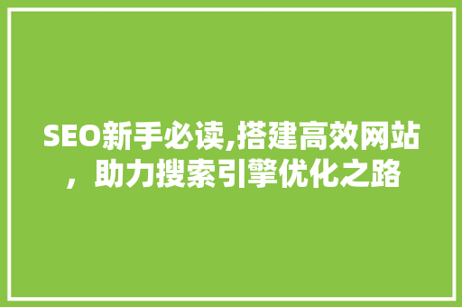 SEO新手必读,搭建高效网站，助力搜索引擎优化之路