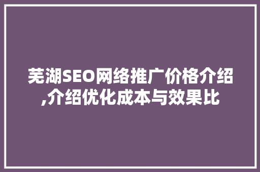 芜湖SEO网络推广价格介绍,介绍优化成本与效果比  第1张