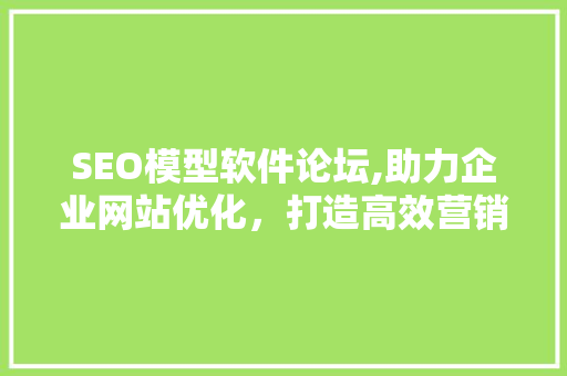 SEO模型软件论坛,助力企业网站优化，打造高效营销步骤