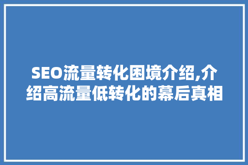 SEO流量转化困境介绍,介绍高流量低转化的幕后真相  第1张