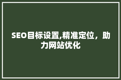 SEO目标设置,精准定位，助力网站优化