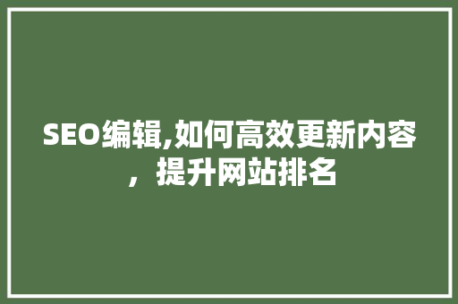 SEO编辑,如何高效更新内容，提升网站排名