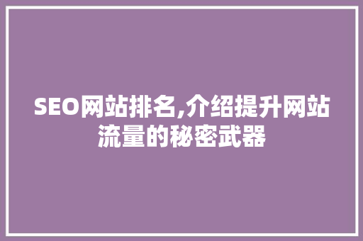 SEO网站排名,介绍提升网站流量的秘密武器