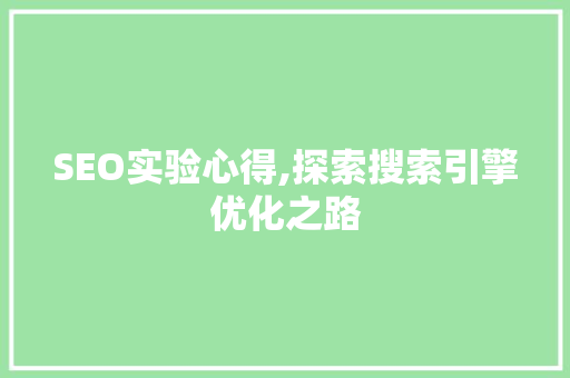 SEO实验心得,探索搜索引擎优化之路