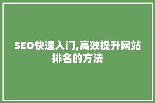 SEO快速入门,高效提升网站排名的方法