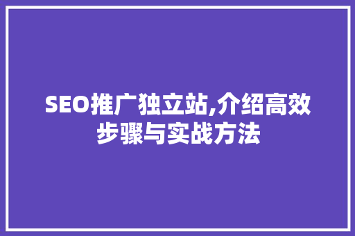 SEO推广独立站,介绍高效步骤与实战方法