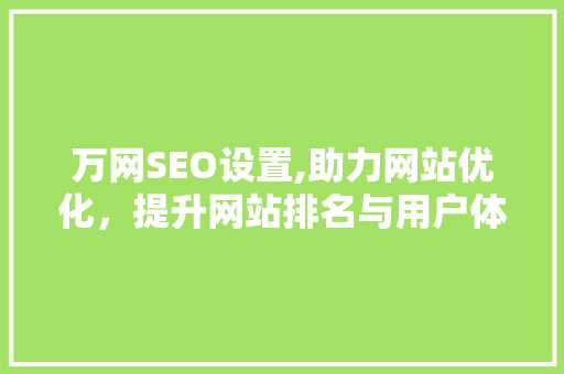万网SEO设置,助力网站优化，提升网站排名与用户体验