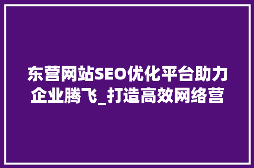 东营网站SEO优化平台助力企业腾飞_打造高效网络营销步骤
