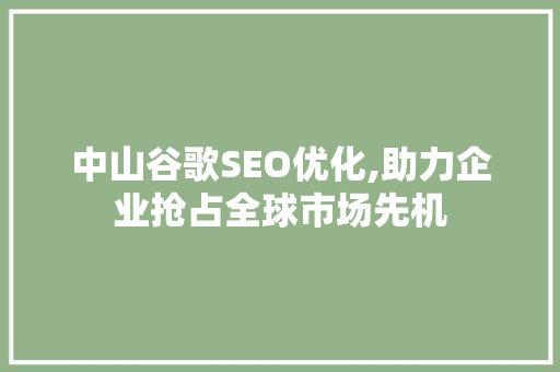 中山谷歌SEO优化,助力企业抢占全球市场先机